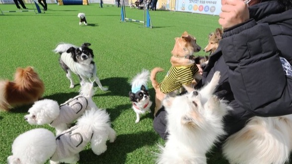 205a41e0b4df3bab31b3201c3ff312e8_1706116315_2364.jpg 205a41e0b4df3bab31b3201c3ff312e8_1706116315_2364.jpg