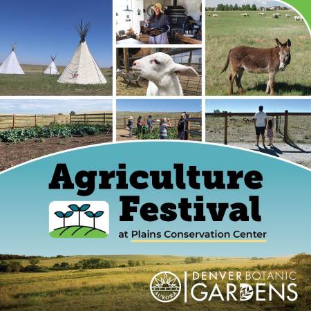 b26fb796bbf6c584f1ac026cef654336_1725048453_6956.jpeg b26fb796bbf6c584f1ac026cef654336_1725048453_6956.jpeg